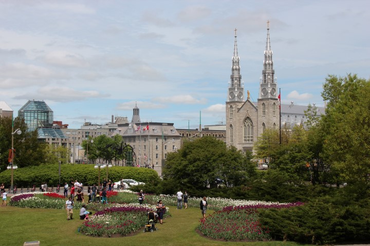IMG_8266 (Small).JPG
