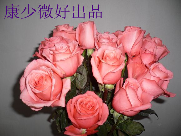 P1190552_.jpg