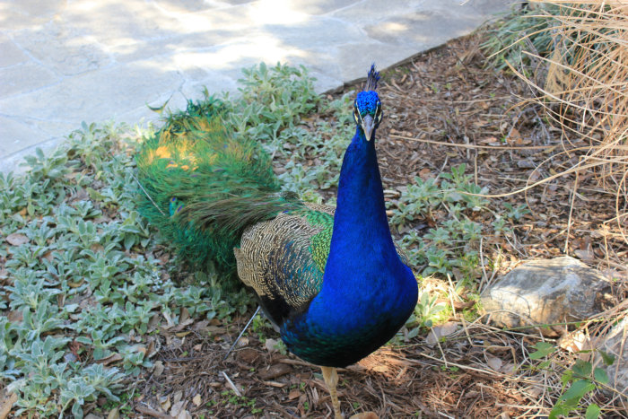 2012_02210158_.JPG