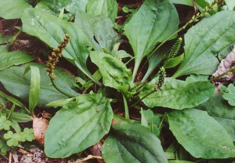 001_conew251.jpg