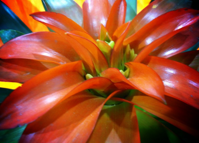 001_conew226.jpg