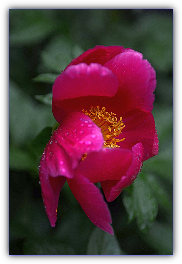 DSC_0775.jpg
