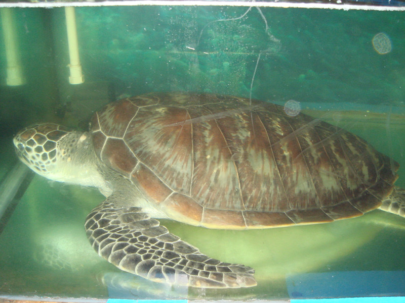 DSC01569_.jpg