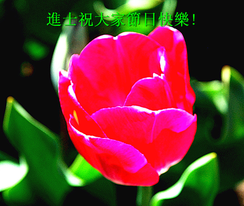DSC_0361__.jpg