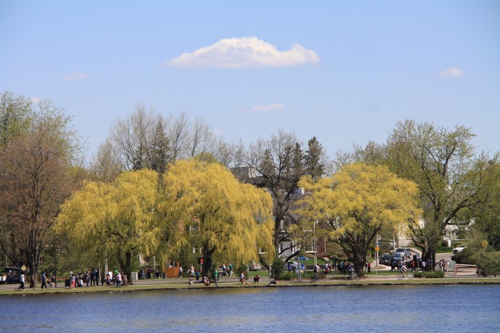 IMG_0125 (Small).JPG