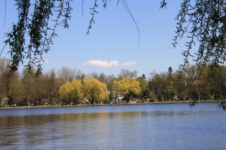 IMG_0142 (Small).JPG