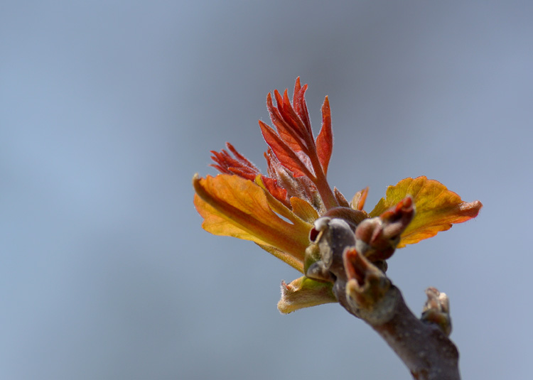 DSC_2548.jpg