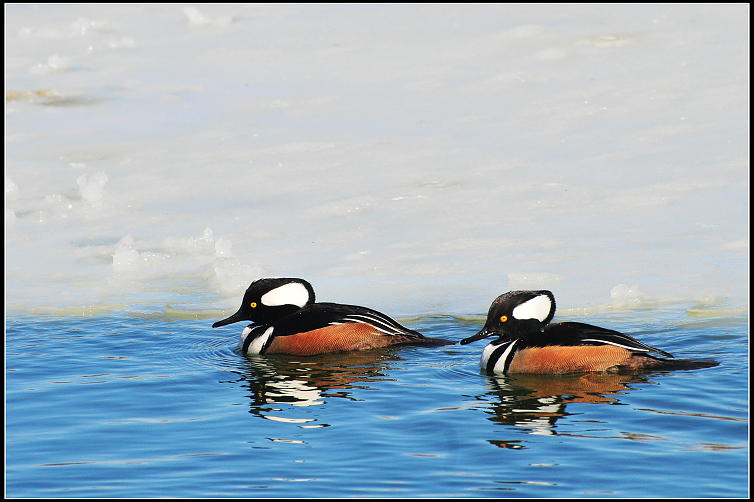 DSC_0777.JPG
