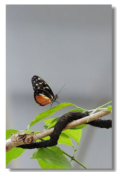 _DSC9948.JPG