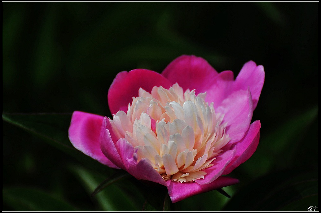 DSC_7682.jpg