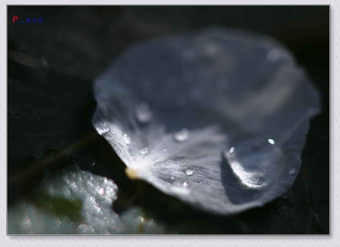 }u -011-035-1.jpg