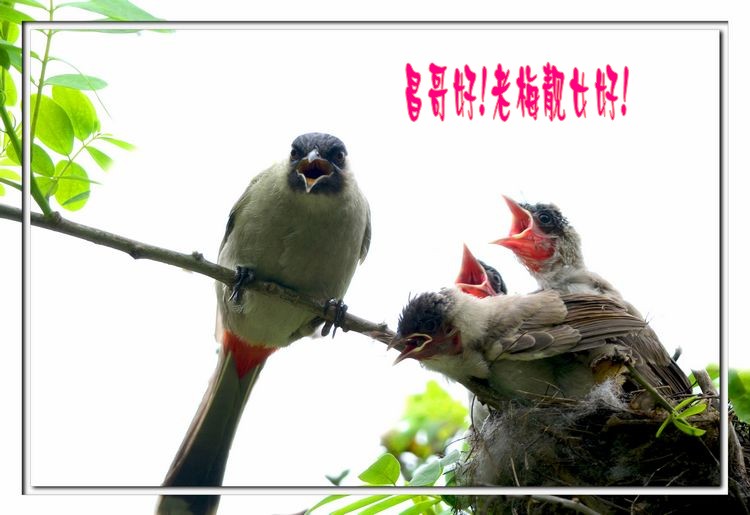 DSC_1166_conew1.jpg