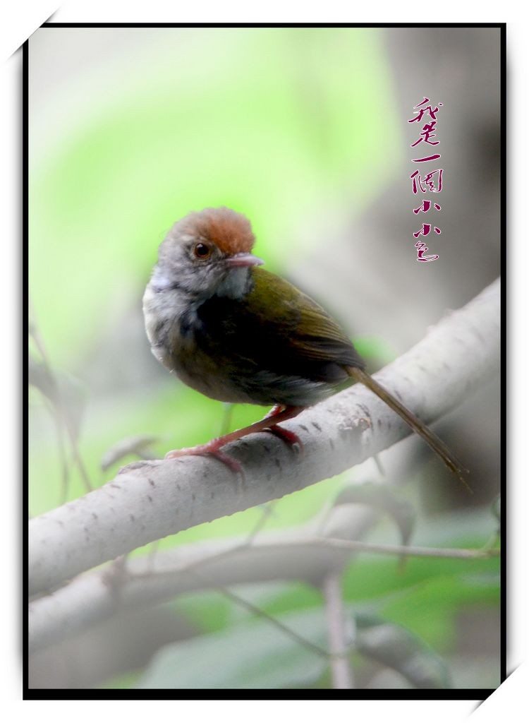 DSC_0316_conew1.jpg