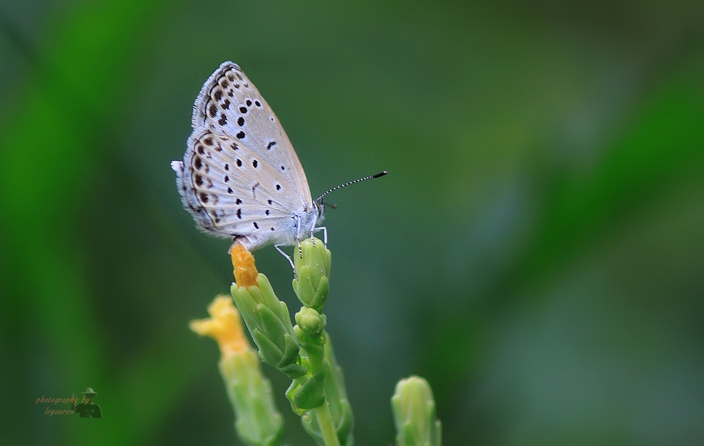 ��Ƭ 039.jpg