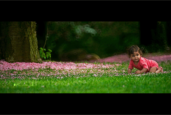 fDSC_3914a.gif