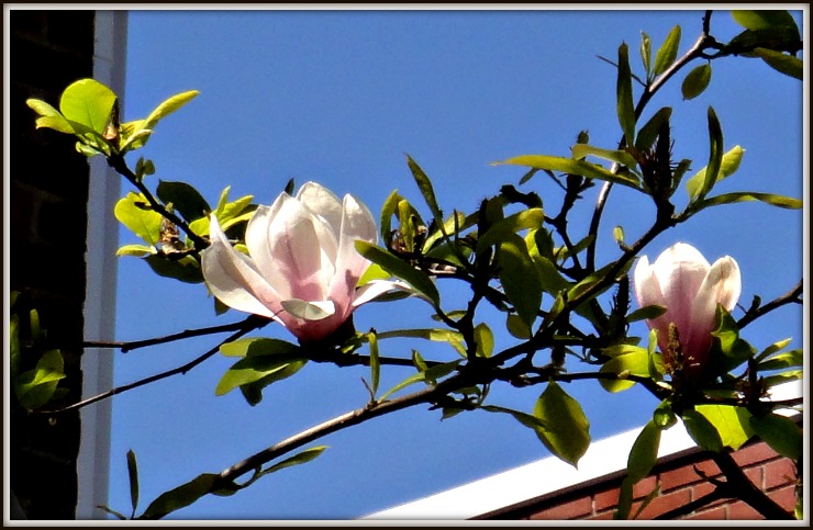 DSC00069.JPG