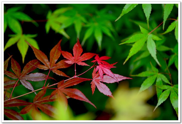 nEO_IMG_DSC_5679.jpg