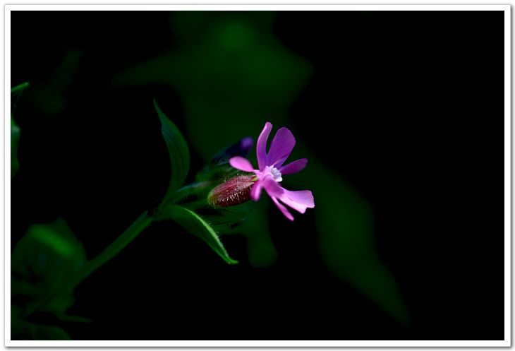 nEO_IMG_DSC_4055.jpg