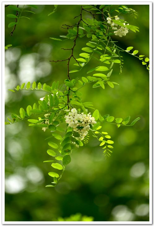 nEO_IMG_DSC_6183.jpg