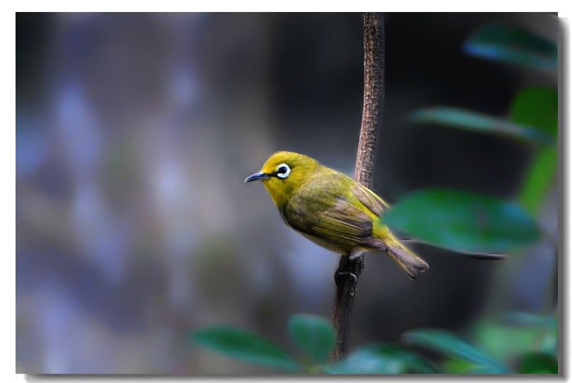 һ����ȸ 349(1).jpg