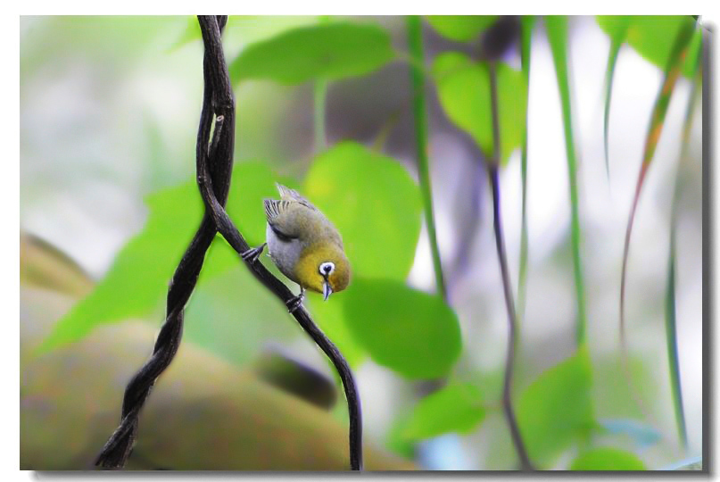 һ����ȸ 317.jpg