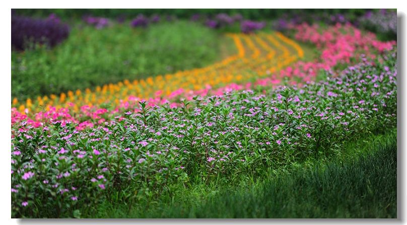 ����� 053.jpg