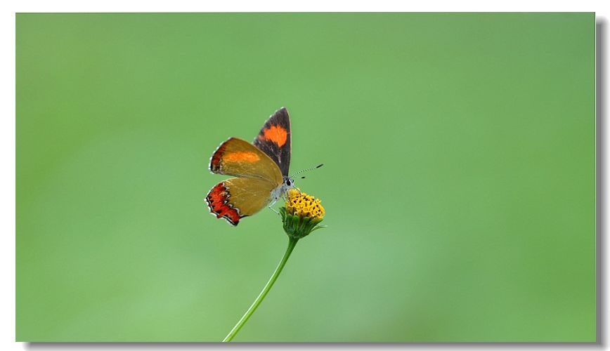 ����� 332.jpg