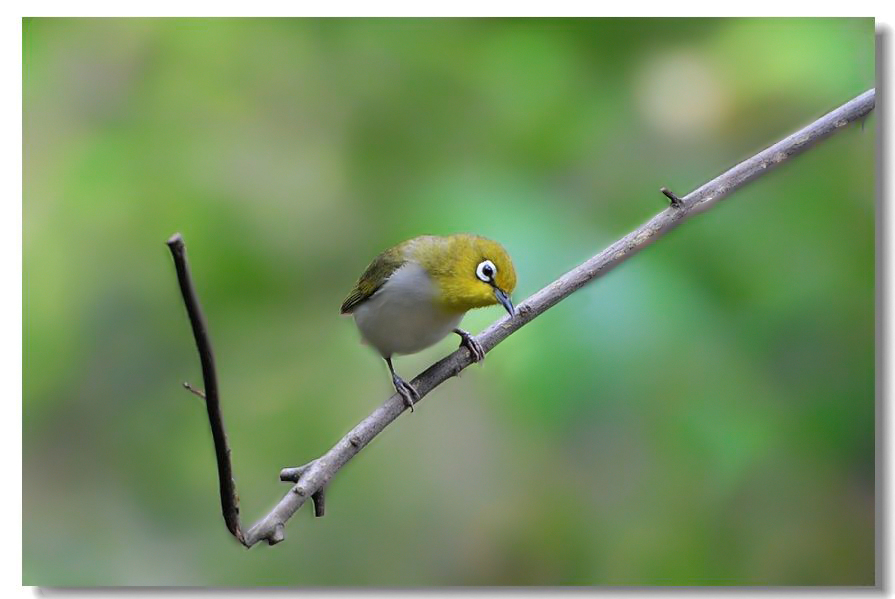 һ����ȸ 183(1).jpg