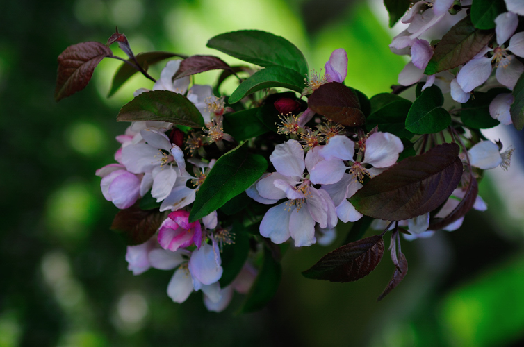 DSC_6336.jpg