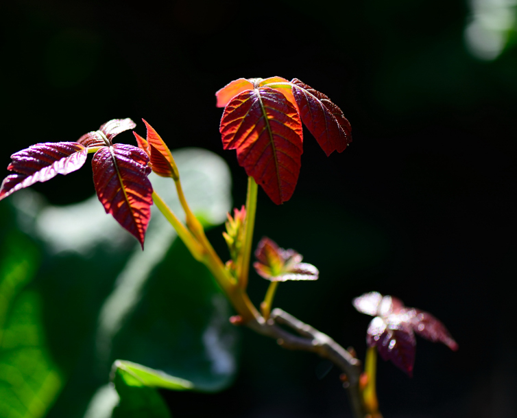DSC_5882.jpg