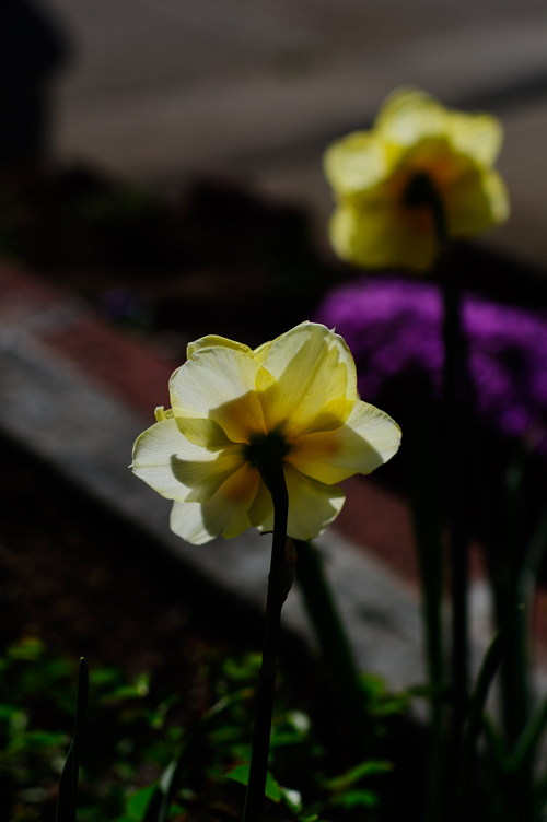 DSC_6426.jpg