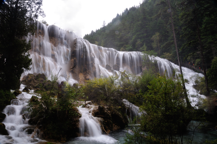 DSC_1501.jpg