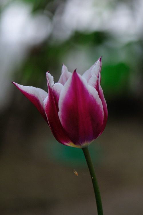 DSC_6208.jpg