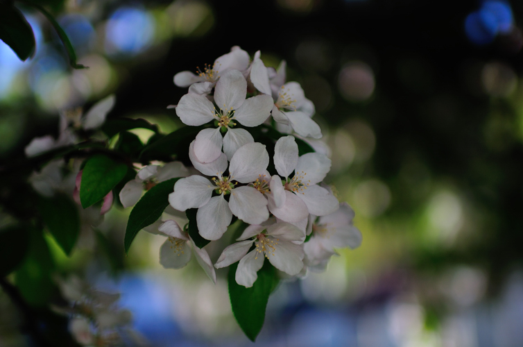 DSC_6405.jpg