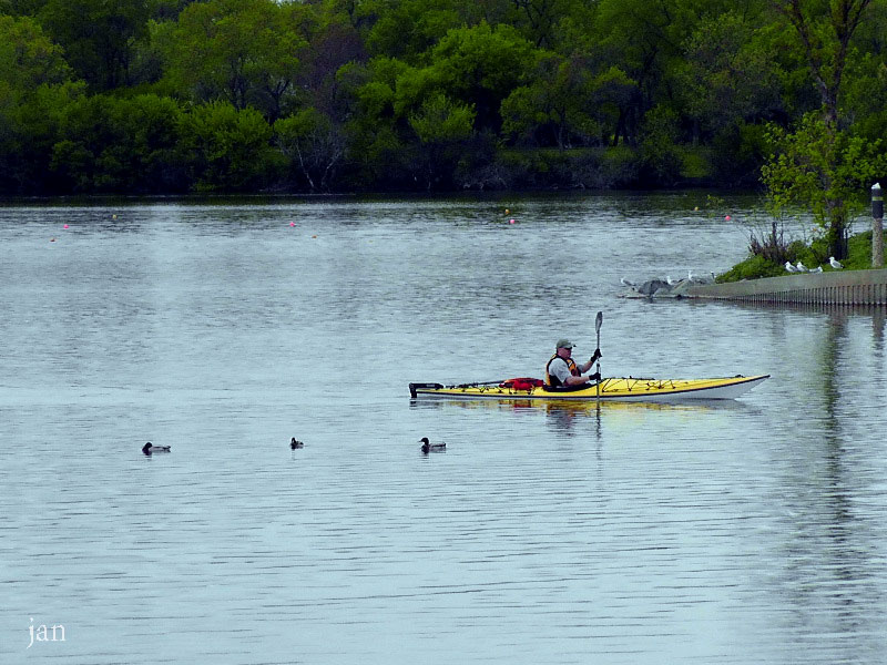H1590183=.jpg