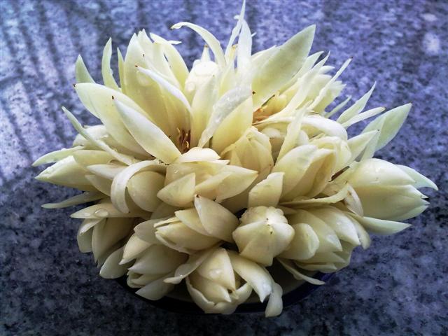 20130509050 (С).jpg