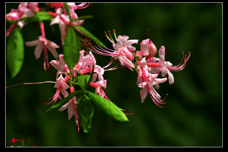 DSC_5903.jpg