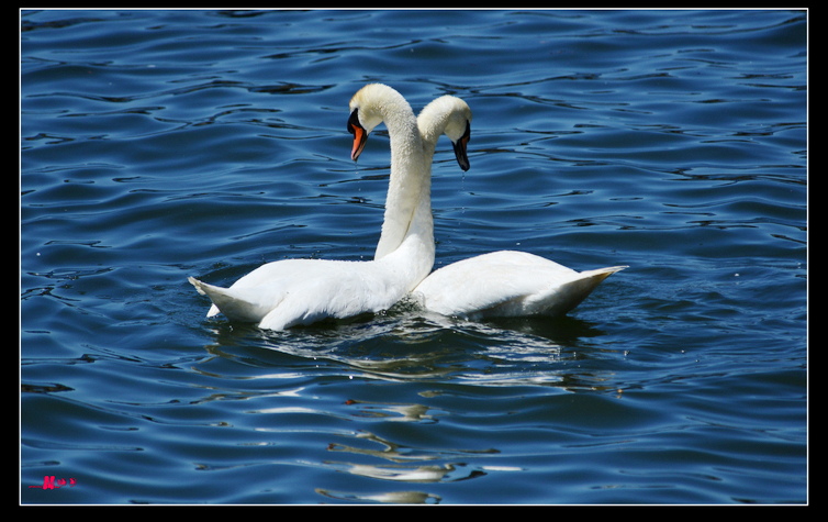 DSC_5542.jpg