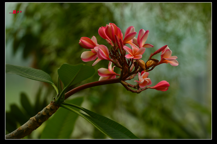 DSC_8491.jpg