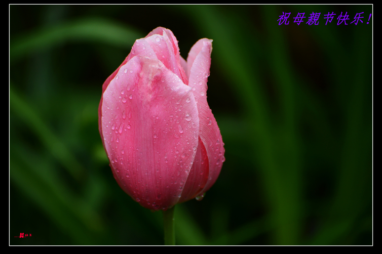 DSC_5974.jpg