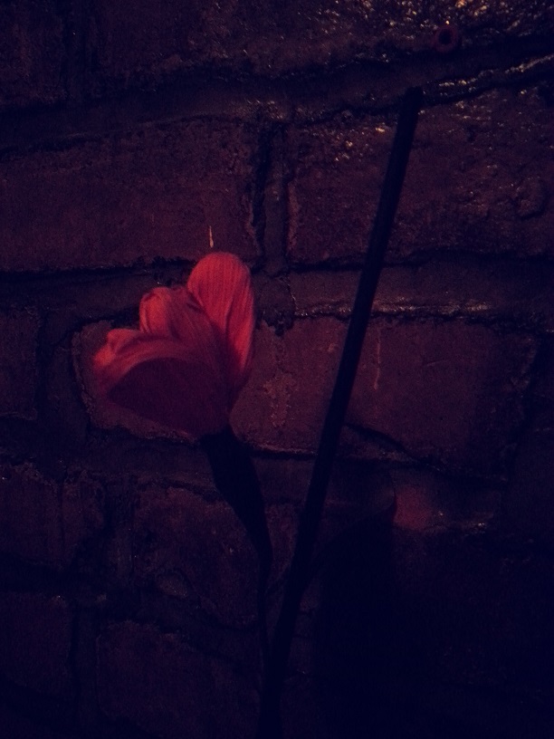 20130429_173900.jpg