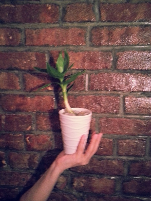20130429_172540.jpg