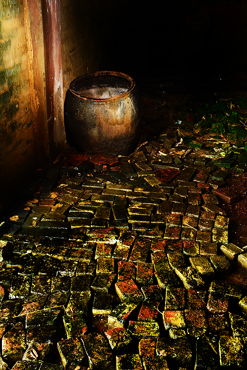 DSC_6987C.jpg