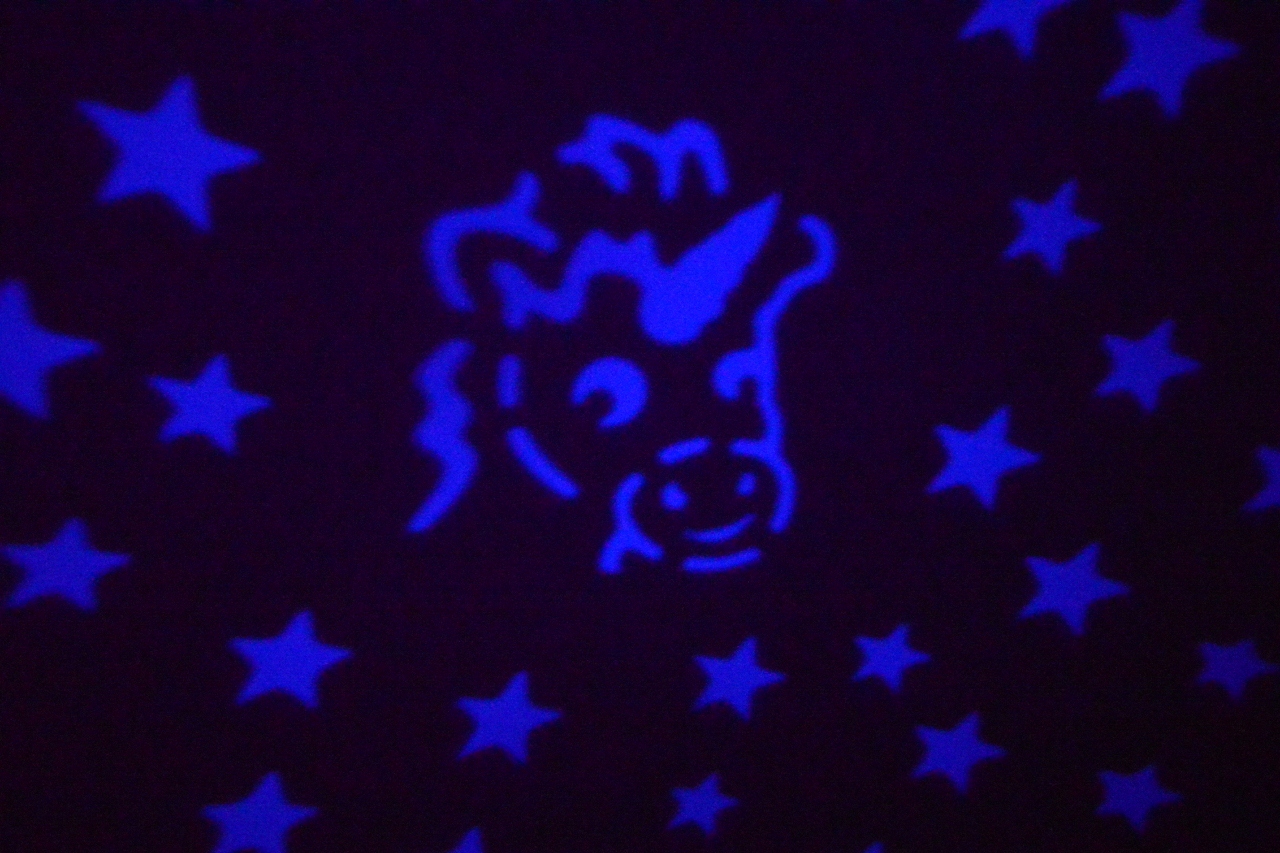 DSC_0220 (1280x853).jpg