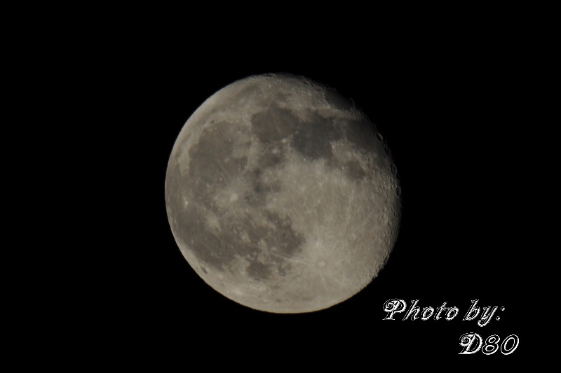 DSC_0681.jpg