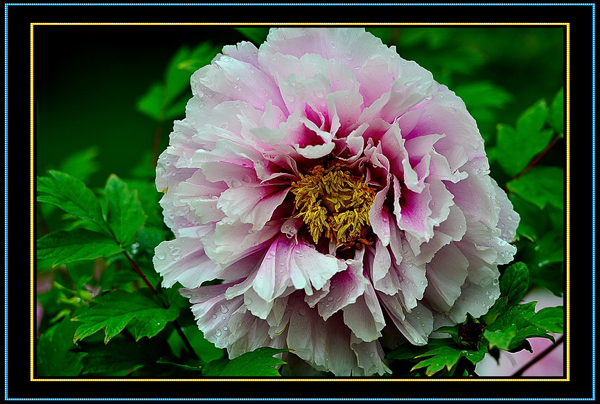 DSC_1716.jpg