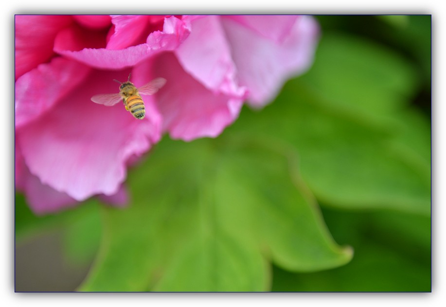 DSC_2660.jpg