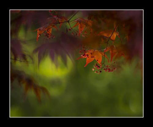 _DSC8377.jpg