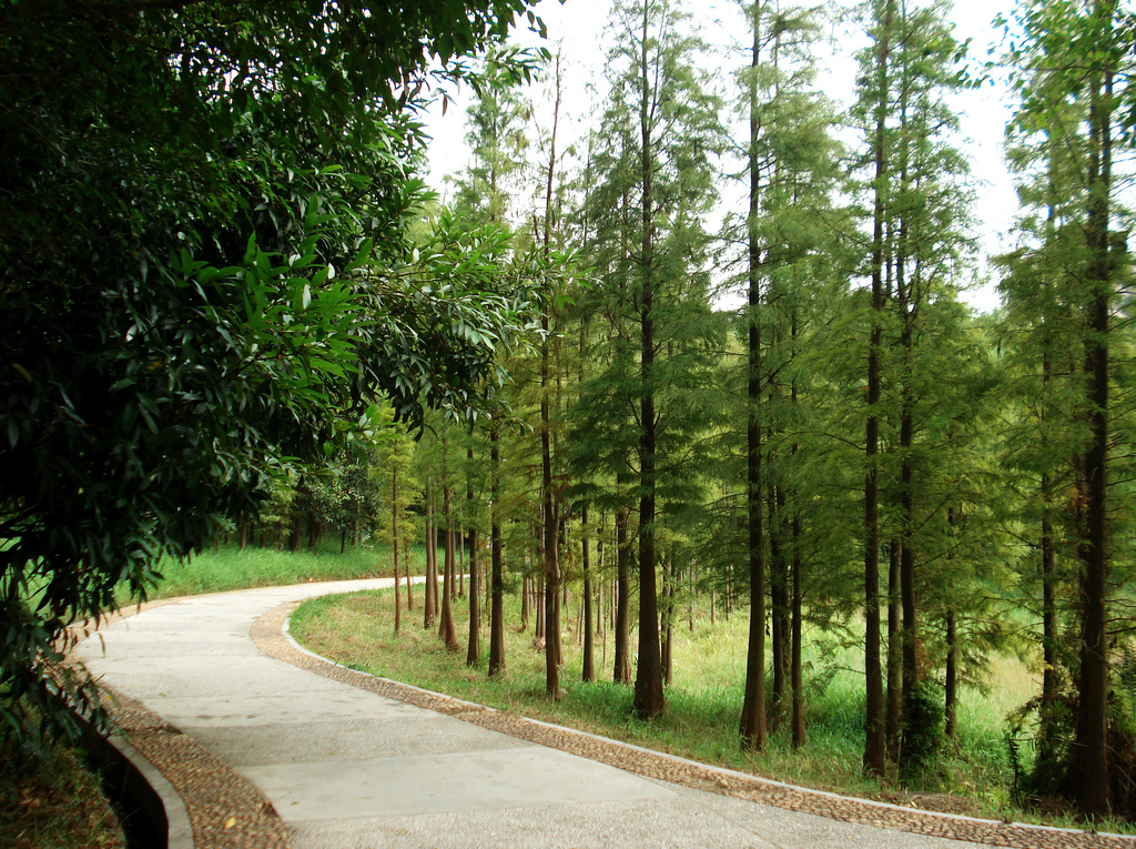 DSC00001.JPG