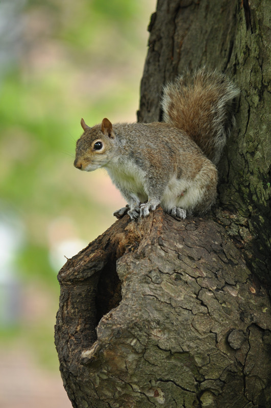DSC_0861_.jpg